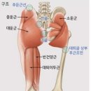 디오필라앤핏 오목교점 이미지