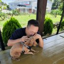 제주오름동물병원 이미지