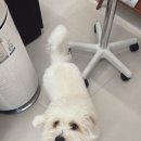 보정자연유치원 | [용인사진관] 어버이날 추억 만들기 성공했던 보정동 가족사진 후기 '빛이라사진관'