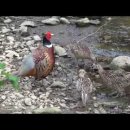 박진수농장 이미지