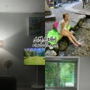 단양펜션소백스테이 네이버블로그