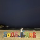 송정산오징어