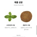 러쉬명동역점 이미지