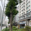 비디피트 | 자료로 100만원 노트북을 얻고 인생의 큰 고민 중 하나를 해결할거라고 생각했을까 (w. 제디피트님)