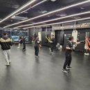 팀 해명 짐 이미지