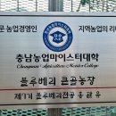 큰골농장 이미지