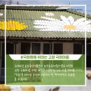 보리들녘 티스토리