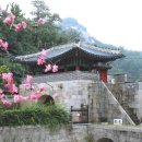 세검정교차로(상명대 방향) | 서울을 걷다(홍지문-홍제천-옥천암-세검정-백사실계곡)