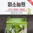 토종흰민들레식품 이미지