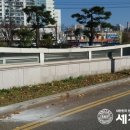 저단31 이미지