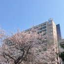 금마초등학교 | 난아직만십구세어린인데 너무성숙을바라네나한테