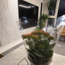 윤진희 농장 이미지