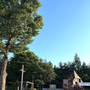 푸른숲판교 | 판교 물빛공원 아이와 가볼 만한 곳 후기 | 놀이터까지 있는 도심 속 공원 🌳