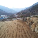 대지농산 Daum카페