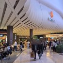 메밀만두 이미지