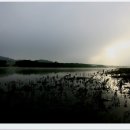 함안의 축제 "남강걷기대회" 1 ............. 이미지