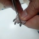 닥터 아이펫 동물병원 이미지