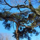 갈맷길6-2구간 이미지