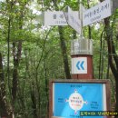 분당-335 Daum카페