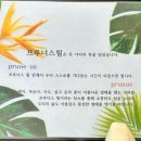 체리프루너스힐