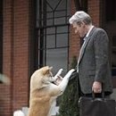 Will's Family Kennel 이미지