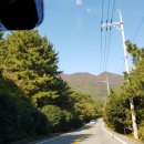 몽돌식육식당 이미지