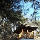 류소 묘소柳沼 墓所 | 풍산부원군 류중영 묘소 豐山府院君柳仲郢墓所 - 풍산류씨 [풍원부원군 문충공 류성룡 선생 아버지]