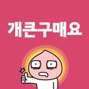 덕스토리 이미지