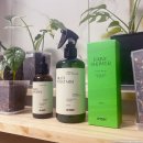 도아플랜트 | 영양제_ 레이니샤워, 님 오일 멀티 플랜트 미스트_한 달 사용 후기_알로카시아, 몬스테라 알보, 싱고니움