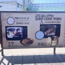 큰집떡방앗간 - 산청군 남명로 220-6 | [강원 강릉] 콩방앗간