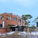 안씨고집 이미지