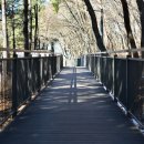 온수도시자연공원(지양산 둘레길) | 시린 바람 끝에 마중 나간 봄, 구로올레길 입춘맞이 산책