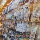 서서울호수동물병원 | 서서울 호수공원을 산책하다 궁금해졌다. 반려동물 시장은 어느정도일까?