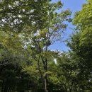 나의 8월③ [서울숲, 둡(dooop), 센터커피, 드로우에스프레소바, 집밥, 산책]