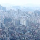 221 이미지