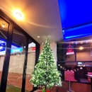 칙 플라잉 이미지