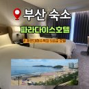 비고리조트 13 | 해운대 파라다이스 호텔 신관 디럭스 시티뷰 호캉스 후기