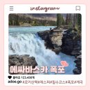 바스카 | 재스퍼 여행 가면 무조건 들러야 할 에싸바스카 폭포