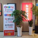 황제명태명가 이미지