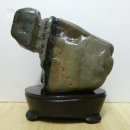 외파수도