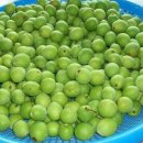 이백농장 이미지