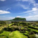 (주)아침환경공사 이미지