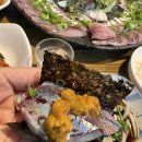 떡이랑情 | 노형동 신선한 계절회와 압도적인 가성비 코스를 즐길 수 있는 숨은 맛집, ‘주앤정(酒&情)’🍶🐟🍣🍤🍚