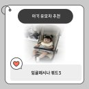 제노스템 창원소답점 | 잉글레시나 퀴드3 후기 내돈내산 유모차 거부 심한 아기에게 찰떡템!