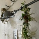 앤디앤라라홈 이미지