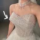 시아(SIA) | 대전 하우스오브에이미 본식 가봉 비즈드레스 4벌 착샷 후기 움짤추가