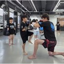 강일체육관 네이버블로그