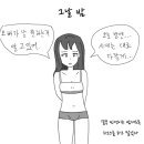 더성인PC 이미지
