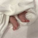 출산휴가급여 신청방법, 입금 후기 (우선지원대상기업 소속 근로자)
