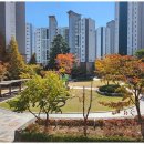 코뿔소공인중개사사무소 이미지